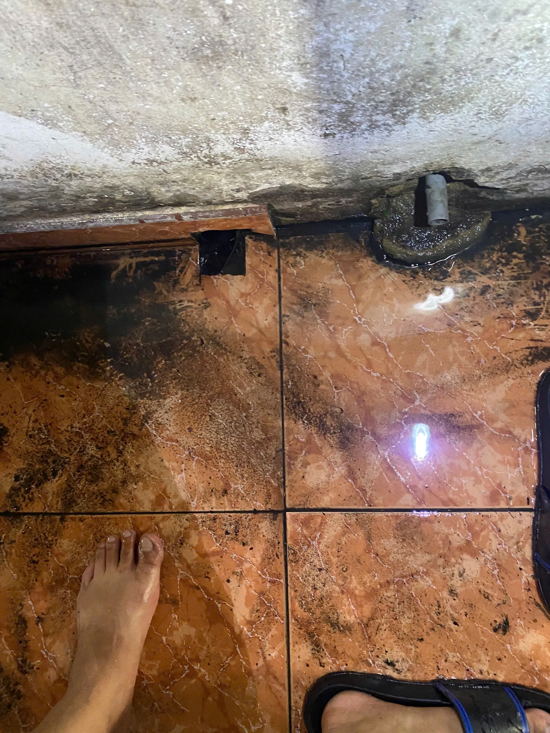 Thông tắc cống thoát sàn nhà vệ sinh nhanh trong ngày